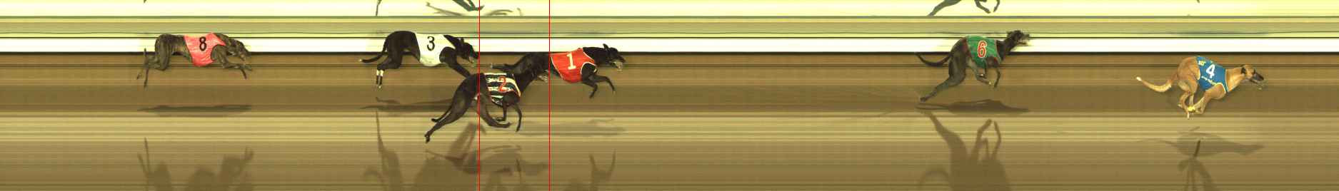 Race result finish photo